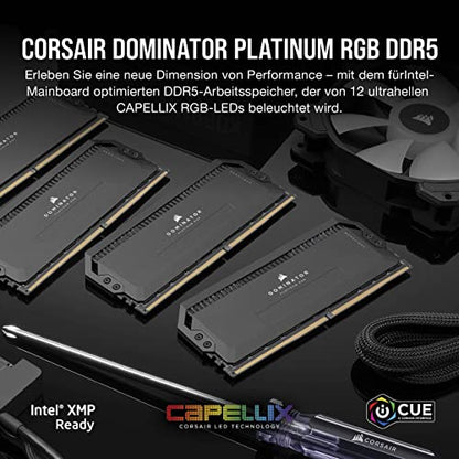 RAM Dominator Platinum RGB-64 GB (2 x 32 GB Kit)-DDR5-6000 DIMM CL30