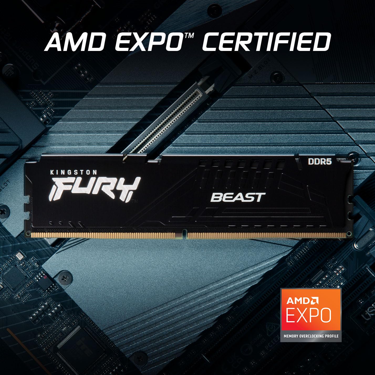 Kingston FURY Beast - DDR5 - Modul - 16 GB - DIMM 288-PIN - 6000 MHz / PC5-48000 - ungepuffert