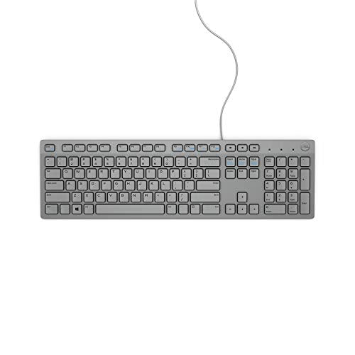 DELL KB216 Multimedia-Tastatur. grau