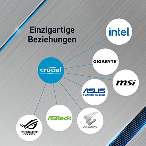 Crucial -DDR4-Kit-32 GB: 2 x 16 GB-DIMM 288-PIN-3200 MHz / PC4-25600-ungepuffert